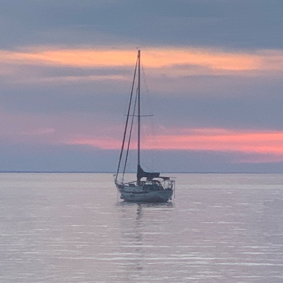 Meet your Posher, Lisa - Picture 5 of 6